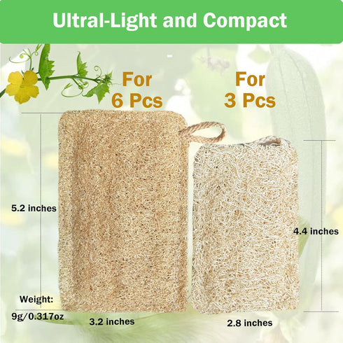 Natural Loofah Kitchen Sponge (6 Pcs) No Scratch Brush for Dishwashing, 100% Plant Fibers Vegetable Scrubber, Zero Waste and Eco Friendly Loofa, R...