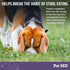 Pet MD Stool Eating Deterrent - Prevent Dog from Eating Poop - Coprophagia Aversion with Enzymes, Herbs, & Prebiotics for Digestive Support & Fres...