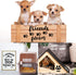 Love Dog Stencils for Painting, 18 Pack Reusable Dog Paw Trail Stencils Drawing Template for Painting on Wood Home Furniture Decor, Dog Painting S...