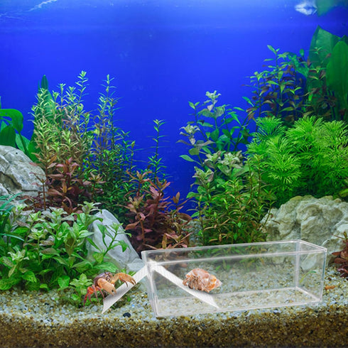2 Pack Large Transparent Hermit Crab Water Tank with Climbing Ramp, Hermit Crab Aquarium Tank Cage Salt Water Pool Accessories, Hermit Crab Habita...