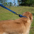 Hyhug Pets Premium Upgraded Durable Nylon 18 Inch Short Leash with Soft Padded Neoprene Lined Handle for Medium Large Giant Dogs, Daily Use and Pr...