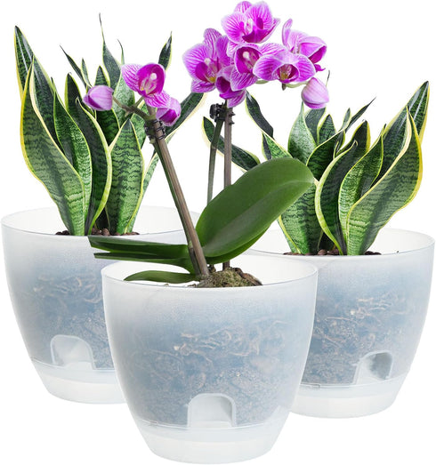Plant Pots 6 Inch Set of 3, Self Watering Pots Flower Pots Indoor Outdoor, Plastic Planters with Drainage Hole Saucer Reservoir (Clear)...