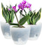 Plant Pots 6 Inch Set of 3, Self Watering Pots Flower Pots Indoor Outdoor, Plastic Planters with Drainage Hole Saucer Reservoir (Clear)...