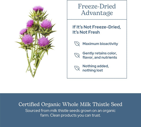 Eclectic Herb - Premium Freeze Dried Milk Thistle Capsules | Dietary Supplement | Liver Support, Detox, Cleanse + Maintain | Natural, Non-GMO, Veg...