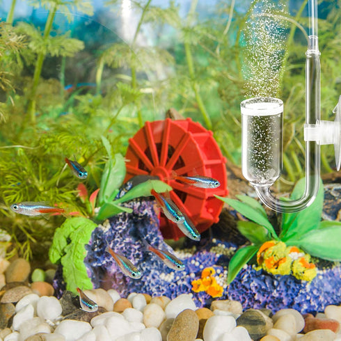 CO2 Diffuser U Shape for Aquarium Fish Tank Pollen Glass CO2 Bubble Diffuser Air Pump Check Valve for Aquaneat Aquarium Planted...