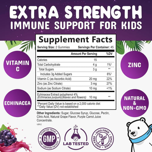 Immune Support Gummies for Kids & Toddler with Vitamin C, Zinc & Echinacea, Daily Childrens Immune Support Gummy Vitamins for Kids Ages 4 and Up, ...