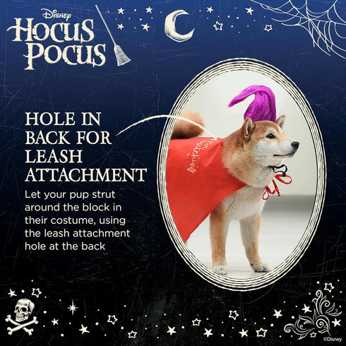 Hocus Pocus Mary Sanderson Dog Costume, Large | Halloween Costumes for Dogs, Dog Witch Costume, Official Dog Product of Disney for Pets...