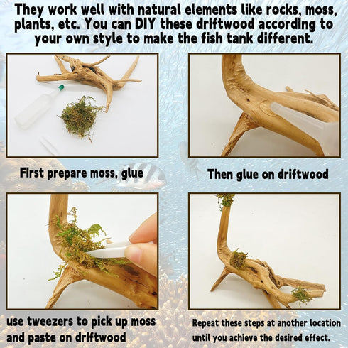 Hamiledyi Driftwood for Aquarium,Natural Spider Wood Reptile Branches Fish Tank Log Ornament Aquarium Trunk Decoration 4 Pcs?8-10inch?...