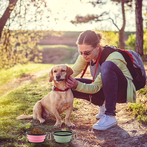 SLSON Collapsible Pet Feeder, 2 Pack Dog Bowls with Cover Lids, Portable Foldable Cat Water Dish Bowl for Pets, Small, Fairy Pink and Sprout Green...