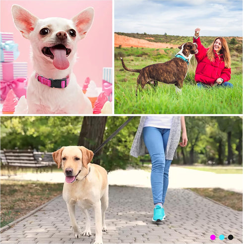Durable Reflective Dog Collar and Leash set with Double Layer Nylon, Soft Neoprene Padded Dog Collar with 5ft Strong Pet Leash Easy for Medium Lar...