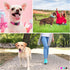 Durable Reflective Dog Collar and Leash set with Double Layer Nylon, Soft Neoprene Padded Dog Collar with 5ft Strong Pet Leash Easy for Medium Lar...