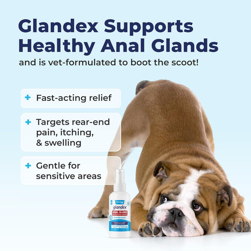 Vetnique Labs Glandex Medicated Dog Anal Gland Spray - Pain Relieving & Anti-Itch Formula to Soothe Inflamed Anal Glands in Dogs & Cats - Fast Act...