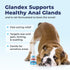 Vetnique Labs Glandex Medicated Dog Anal Gland Spray - Pain Relieving & Anti-Itch Formula to Soothe Inflamed Anal Glands in Dogs & Cats - Fast Act...