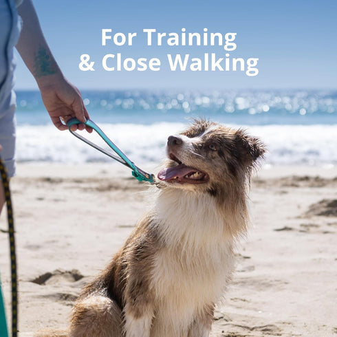 Ruffwear, Front Range Short Traffic Leash with Padded Handle, 15-inch (38cm) Durable Short Dog Lead for Training and Walking, Basalt Gray...