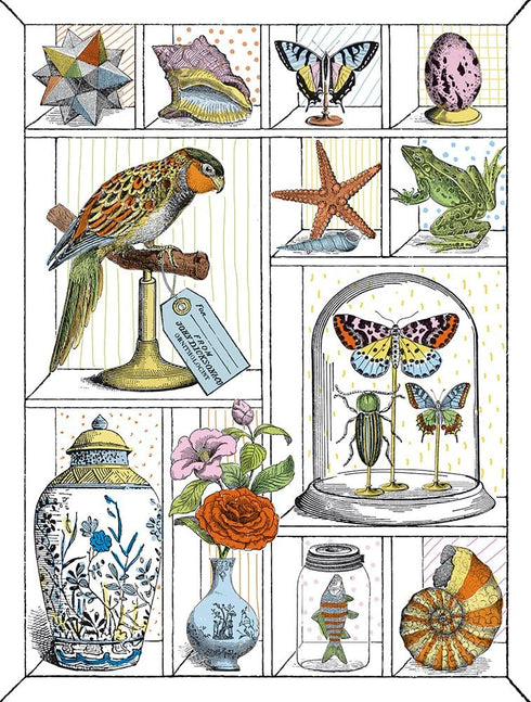 Alibabette Editions Engravings to Colour Curiosites 15.75 by 11.8" 300g Watercolor Paper + 100g Drawing Paper (COL4011)...