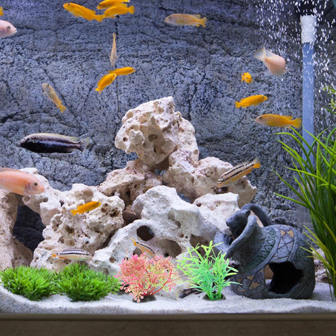 20pcs Fish Tank Landscaping Water Plants Succulants Terrarium Plants Artificial Succulent Aquarium Plants Decors Fish Tank Plants Artificial Plast...