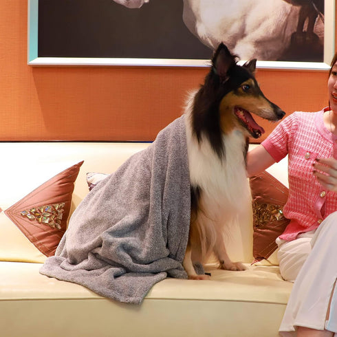 Dog Towels for Drying Dogs - Pack of 2 - Super Absorbent Soft Microfiber Pet Bath Grooming Towel for Dogs and Cats & Other Pets (M-36" * 28", Grey...