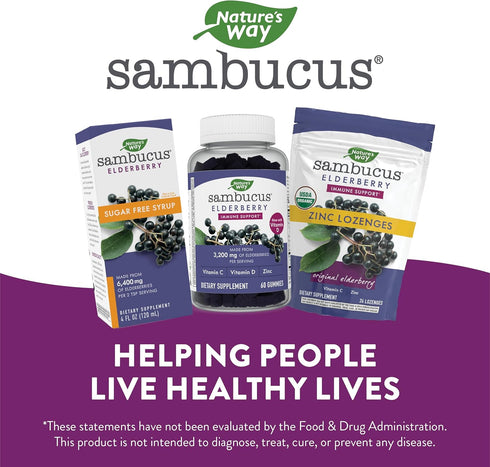 Nature’s Way Sambucus Organic Zinc Lozenges, Elderberry and Zinc Lozenges with Vitamin C, Certified Organic, 24 Lozenges...