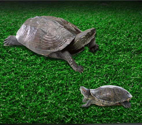 Turtle Basking Platform, Lawn Turtle Resting Basking Platform, Tortoise Ramp Climbing Reptile Ladder Resting Terrace Fish Tank Aquarium Turtle Doc...