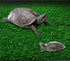 Turtle Basking Platform, Lawn Turtle Resting Basking Platform, Tortoise Ramp Climbing Reptile Ladder Resting Terrace Fish Tank Aquarium Turtle Doc...