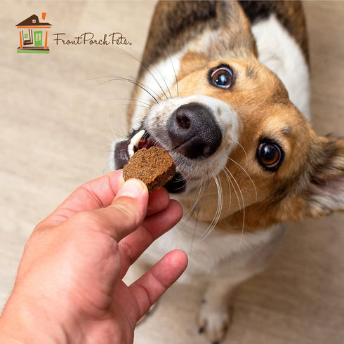 Sams Yams Sweet Potato Dog Treats, Healthy Dog Treats for Large, Medium, Small Breed Dogs, Sweet Potato Dog Chews Made in USA - Sam's Yams DAILY'S...