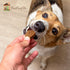 Sams Yams Sweet Potato Dog Treats, Healthy Dog Treats for Large, Medium, Small Breed Dogs, Sweet Potato Dog Chews Made in USA - Sam's Yams DAILY'S...