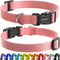 Replacement Collar Strap,E Collar Replacement Strap, 3/4 Inch Replacement Collar for Delupet Vsezund Bousnic Patpet Hkzooi Dog Care Nikketta Yawpe...
