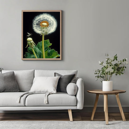 Posterizer 1 pcs-delicate dandelions in nature 1-Floral & Botanical Art- Gift for Men Women Entrepreneur Teens -Decor for Home & Office- unframed ...