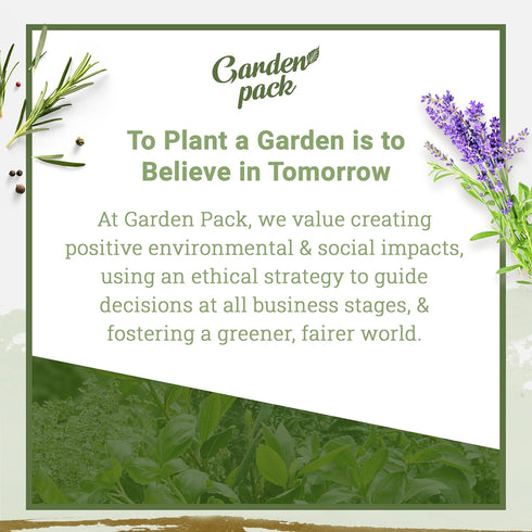 Grow Your Own Herbs Garden Kit - 12 Herb Seeds Variety Pack - Basil Seeds, Mint Seeds, Rosemary Seeds, Oregano Seeds, Parsley Seeds & More Packets...