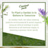 Grow Your Own Herbs Garden Kit - 12 Herb Seeds Variety Pack - Basil Seeds, Mint Seeds, Rosemary Seeds, Oregano Seeds, Parsley Seeds & More Packets...