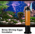 Brine Shrimp Eggs Incubator, Hatchery Artemia Eggs Hatchery Kit, Fish Tank Hatch Tool for Aquarium Brine Shrimp Eggs, Brine Shrimp Eggs Hatcher...