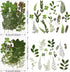 Nuanchu Pressed Flowers Bulk Dried Flower for Crafts, Dried Flower Leave Natural with Tweezer for Resin Mold Scrapbooking DIY (Greenery Style)...