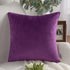 Throw Pillow Cover Velvet Purple - 18 x 18 Inch Pillow Cushion Cover - Set of 2 Square Eggplant Cushion Case, Gift for Sofa, Chair, bedroom and No...