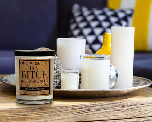 Cedar Crate Market - Funny Candles for Women, Men, Adult Humor - Funny Gift for BFF, Coworkers, Work Besties, Retirement, Boss Lady Gifts for Wome...