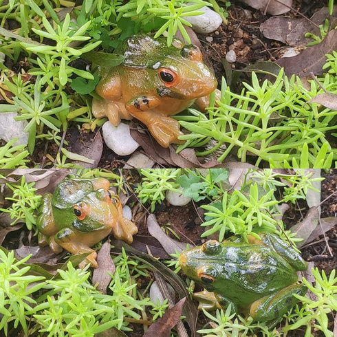 4 PCS Miniature Frog Statue, Outdoor Garden Frog Figurines Decoration, Mini Cute Frog Figures for Patio Yard Micro Landscape Fairy Garden Ornament...