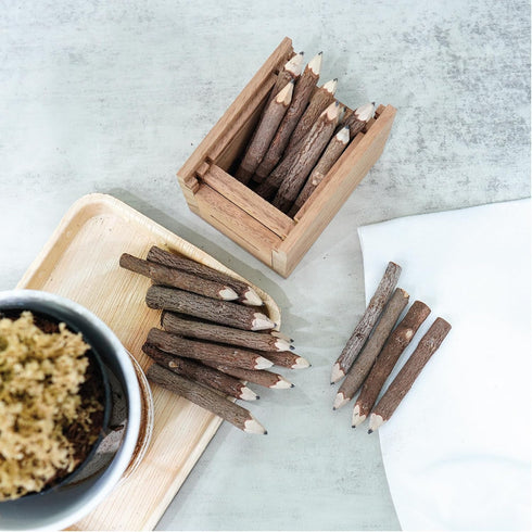 BSIRI Black 3 Inch Wood of 12 in Pack Tree Bark Pencil Favors in Wooden Rustic Twig Pencils Unique Camping Gifts Decorations Party Supplies Novelt...