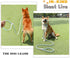 3pcs Slip Leads for Dogs, 6 FT Slip Lead Dog Leash Adjustable Dog Training Leash, Strong Nylon Rope Slip Leash for Large Medium Small Dogs (Green/...