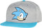 Bioworld Sonic The Hedgehog Face Snapback Youth Hat Gray...