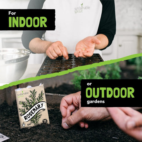 Sustainable Sprout 15 Heirloom Culinary Herb Seeds Variety Pack: Basil,Cilantro, Parsley, Chives,Thyme, Oregano, Dill,Rosemary, Arugula,Tarragon, ...