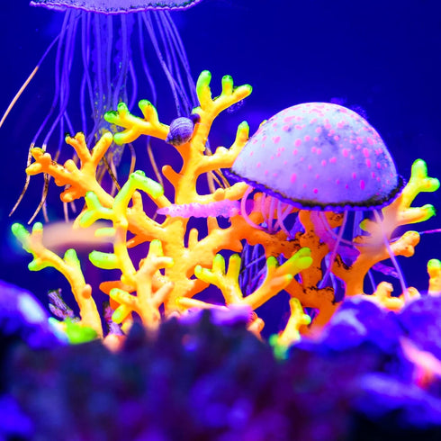 VOCOSTE Soft Silicone Glowing Aquarium Mushroom Coral, Fluorescence Aquatic Artificial Coral for Fish Tank Decoration, Purple...