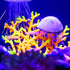 VOCOSTE Soft Silicone Glowing Aquarium Mushroom Coral, Fluorescence Aquatic Artificial Coral for Fish Tank Decoration, Purple...