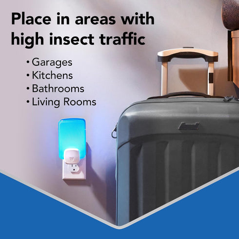 Raid Essentials Flying Insect Light Trap Starter Kit, 1 Plug-In Device + 1 Cartridge, Featuring Light Powered Attraction...