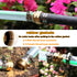 Garden Hose Repair Connector with Clamps Hose End Repair Kit,3/4" Barb Garden Hose Fittings Male and Female brass garden hose ends (3/4"Barb-2 Set...