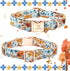 Lionheart glory Premium Dog Collars Fall Dog Collar, Heavy Duty Adjustable Dog Collar for Small Dogs Maple Leaf Dog Collar...