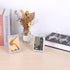 Hipiwe 10 Packs Acrylic Easel Stands Belt Buckle Display Easel Clear Display Easel Holder for Belt Buckles Badges Coins Medals Sport Trading Cards...