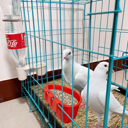 Cage Cups Birds Hanging Feeders Seed Bird Feeding Cups Dish Pigeon Water Bottle Feeder for Cage...