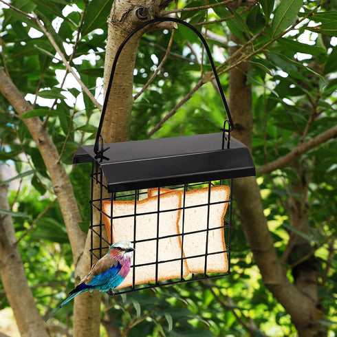FORUP Suet Bird Feeder, Hanging Suet Feeder, Single Suet Cake Bird Feeder, One Suet Capacity, 2 Pack...