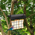 FORUP Suet Bird Feeder, Hanging Suet Feeder, Single Suet Cake Bird Feeder, One Suet Capacity, 2 Pack...