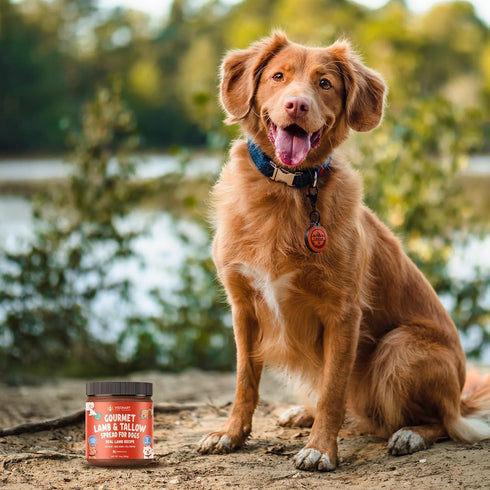 Visionary Pet Foods Meat Spread for Dogs - Lamb Recipe - The Healthy Dog Treat - Alternative to Dog Peanut Butter - Use on a Dog Food Mat - Dog Tr...