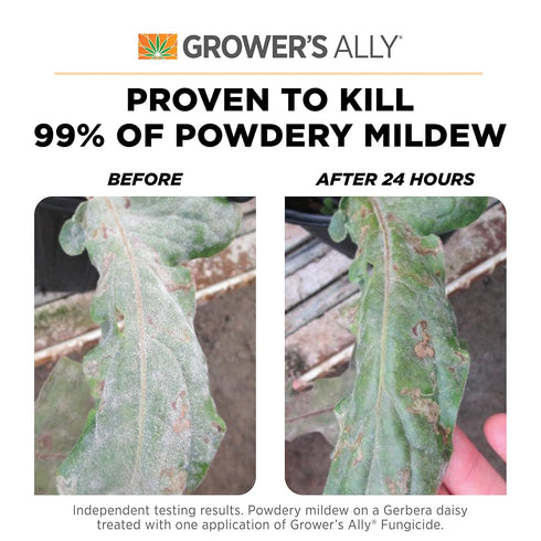 Grower's Ally Fungicide for Plants Concentrate 8 oz | Plant Fungicide Treatment Control for Powdery Mildew, Fungus and More - Trusted by Cultivato...